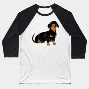 Dachshund black and tan, cute dog Baseball T-Shirt